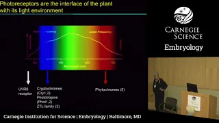 Carnegie Embryology Minisymposium 2018 - Joanne Chory - Fifty Shades of Shade