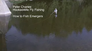 How to Fish Emergers for Trout