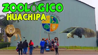 Aventura en Lima! Explorando el Emocionante Zoológico de Huachipa. Cómo llegar?