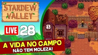 Stardew Valley Ao Vivo #28