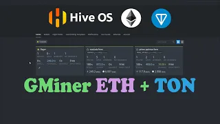 Настройки двойного майнинга Gminer Eth + Ton Hiveos 2022