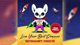 Redtenbacher's Funkestra | Live Your Best Dream ft. Carter Arrington (guitar) | Jazz Fusion