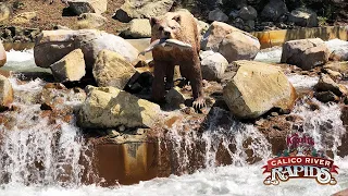 Calico River Rapids Daytime Testing | Knott's Berry Farm (2019)