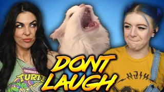 Try not to SMILE or LAUGH Challenge | 27