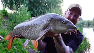 BARBEL FISHING -  Back on The RIVER