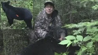 Huge Black Bear Bow hunt by lady hunter in Canada