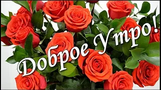 С Добрым  утром! Солнечного настроения, удачи и везения! Хорошего дня!