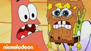 Губка Боб | День фото идет наперекосяк | Nickelodeon Россия