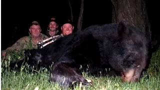 HUGE Boone and Crockett Archery Black Bear!!!