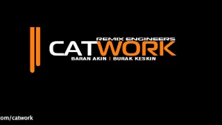 Catwork Remix Engineers - Insomnia