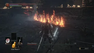Cinders Mod Cathedral Knight vs Abyss Watchers 2nd Phase