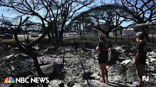 Families in desperate search for loved ones as Maui fires death toll rises