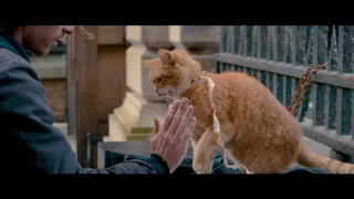 A Street Cat Named Bob - Official Trailer - Starring Luke Treadaway & Bob - At Cinemas November 4