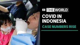 Indonesia tightens COVID-19 curbs as infections climb | The World