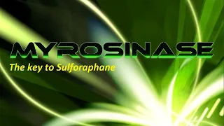 Myrosinase: the key to Sulforaphane
