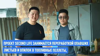 Проект "Second Life". Переработка опавших листьев и опилок в топливные пеллеты