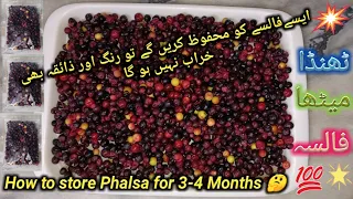 How To Freeze False For Long Time-Tips To Store Falsa(Grewia Asiatica) |Phalsa Fruit فالسے کو محفوظ