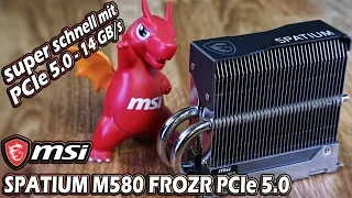 MSI Spatium M580 Frozr PCIe 5 SSD - Mit 14 GB/s so schnell wie NIE?