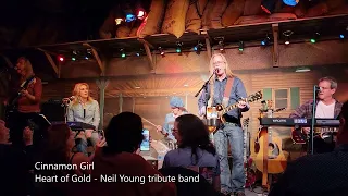 Cinnamon Girl - Heart of Gold, Neil Young tribute band