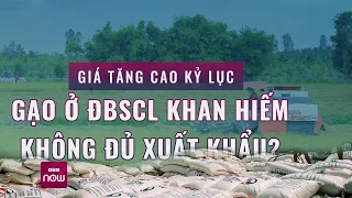 Giá tăng cao kỷ lục, gạo ở Đồng bằng sông Cửu Long khan hiếm không đủ xuất khẩu? | VTC Now