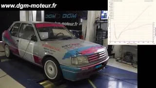 PEUGEOT 309 GTI 2.0L 16S Gr.A - Dijon Gestion Moteur