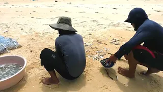 giăng lưới đánh bắt cá biển - biển bãi dài