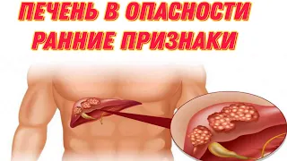 Печень в Опасности: Как Улучшить Ее Состояние