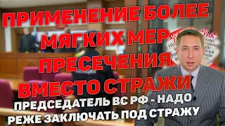 Более мягкие меры пресечения чем заключение под стражу. Необходимость чаще применять. Лебедев.