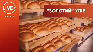 Українці залишаться без хліба? #Shorts