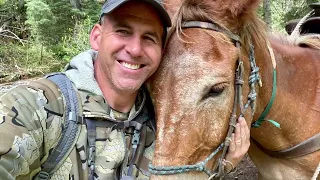 Selway-Bitterroot Wilderness Area - Black Bear Conservation Hunt