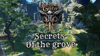 5 Secrets in the druid grove -  Baldur's gate 3