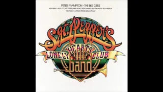 Sgt Peppers Lonely Hearts Club Band   Film Soundtrack