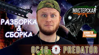 Разборка - сборка G&G GC16 Predator