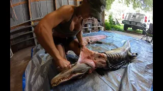 Gator Skinning