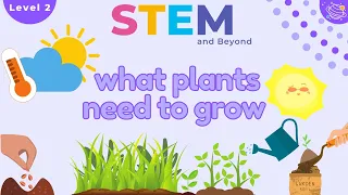 What Plants Need To Grow | KS1 Science Year 2 STEM Summer Camp