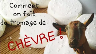 comment est fait le fromage de chèvre ???