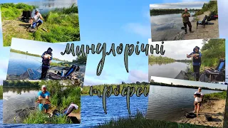 Минулорічні трофеї |  Всі вдалі рибалки на річці Десна #рибалка #київ #фідер