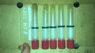 Тест масла Shell HX8 тест -22,oil test -22