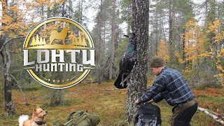 Metson metsästystä suomenpystykorvalla | OSA 3 | Metsästysvaellus Hammastunturin erämaassa 2021