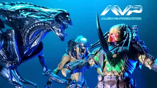 Wolf Predator, Scar Predator vs Queen alien , Predalien Stop-Motion