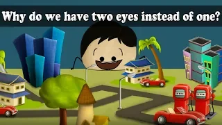 Why do we have two eyes instead of one? | #aumsum #kids #science #education #children