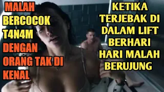 B3RC0c0k T4NA4M D3NGAN ORANG TAK DI KENAL:ALUR CERITA FILM P3SIKOPAT | INTO,THEDARK:D0WN(2019)