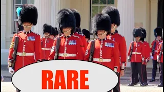 RARE! Paddy McGinty’s Goat  9 Irish Guards Changing of the Guard, London