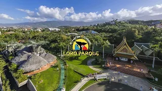 Loro Parque -Virtual Tour Filmed in HDR (Including Shows)