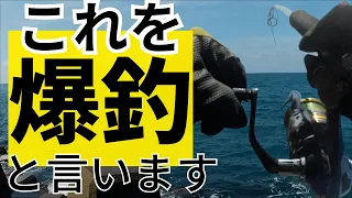 釣れすぎて筋肉痛になりました【青物】