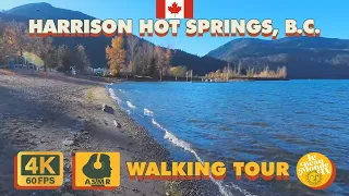 4K SUNNY WALK | Harrison Lake, Harrison, BC, Canada | FALL 2023