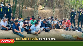 Tin tức an ninh trật tự nóng, thời sự Việt Nam mới nhất 24h trưa 29/1 | ANTV