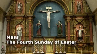 Mass 4/21/24 -The Fourth Sunday of Easter