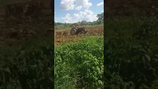 Preparo de Solo Fazenda Nova