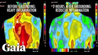 This is How EARTHING Reduces INFLAMMATION in the Body